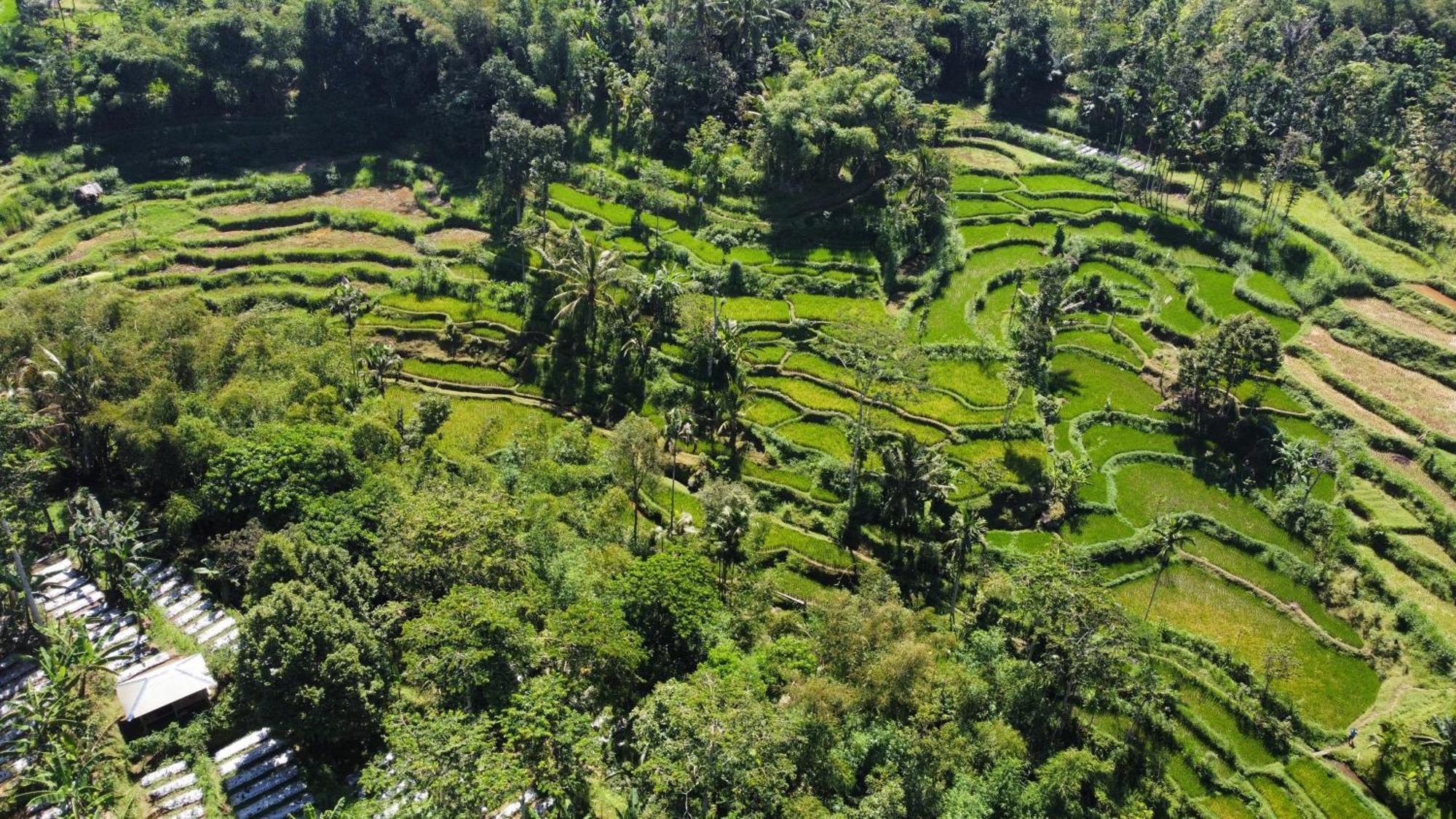 Nan Bungalows Tetebatu Zewnętrze zdjęcie